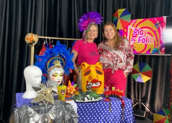 Utilidade Pública:  Como limpar, organizar e guardar produtos do Carnaval