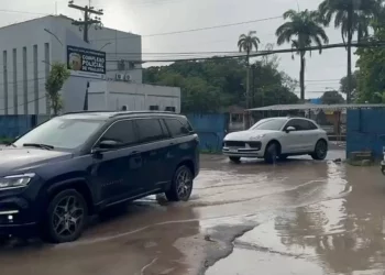 Carros de luxo são apreendidos em Operação contra jogos de azar e lavagem de dinheiro