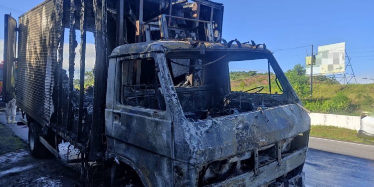 Caminhão que transportava carnes pega fogo em São Lourenço da Mata