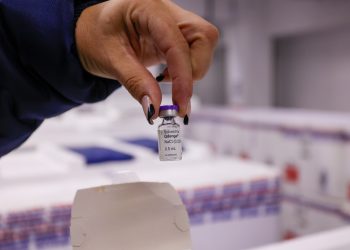 Recife vai receber doses da vacina contra a dengue