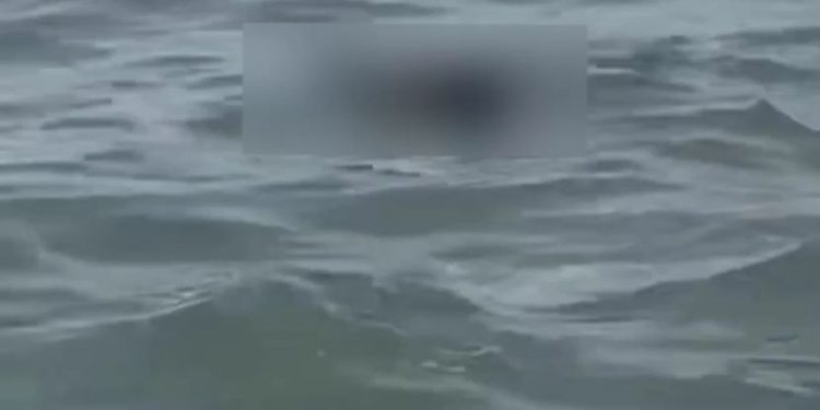 Corpo é encontrado boiando em alto mar, na praia de Boa Viagem