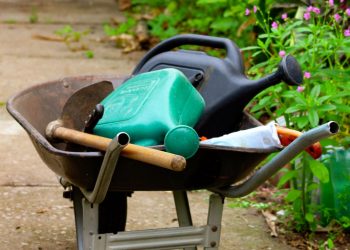 A RMR vai ganhar a primeira Escola de Agriculturas Urbanas e Periurbanas