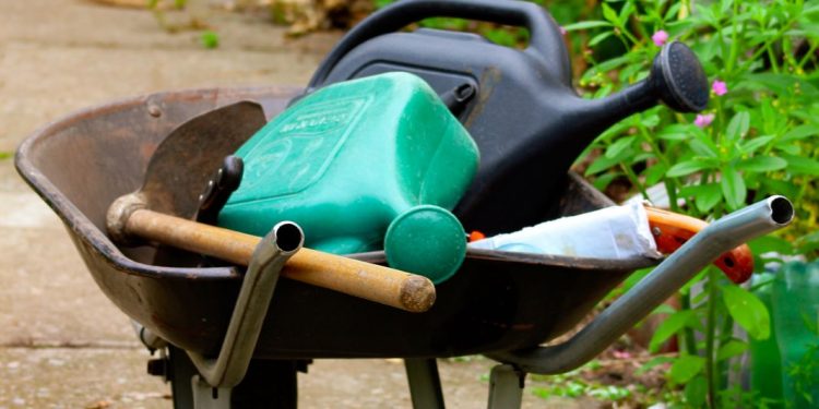 A RMR vai ganhar a primeira Escola de Agriculturas Urbanas e Periurbanas