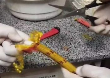 Homem é preso ao tentar embarcar no aeroporto do Recife com 2 quilos de cocaína escondidos em cordas