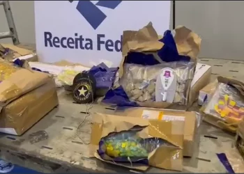 Operação apreende drogas e anabolizantes escondidos em bicho de pelúcia nos correio