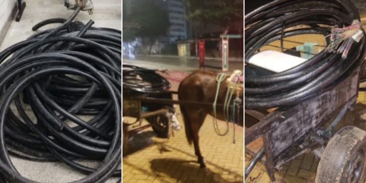Carga com 2 mil metros de cabos de internet é apreendida em Boa Viagem