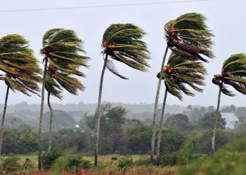 INMET emite alerta de vendaval para diversas regiões do Nordeste