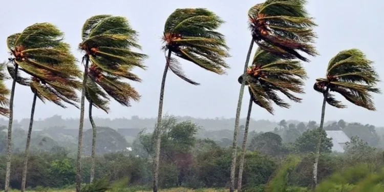 INMET emite alerta de vendaval para diversas regiões do Nordeste