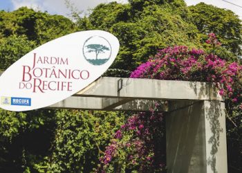 Jardim Botânico é interditado por 3 dias, após queda de árvore