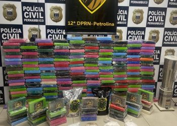 Quase 300 quilos de cocaína são apreendidos em Serra Talhada