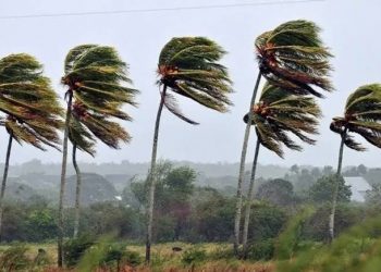 Inmet emite novo aviso de vendaval para Pernambuco e outros estados