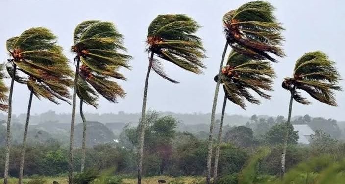 Inmet emite novo aviso de vendaval para Pernambuco e outros estados