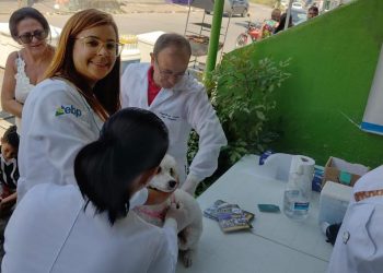 Vacinação antirrábica gratuita e adoção de cães e gatos serão realizadas, nesta sexta-feira (13), em Caruaru