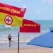 Feriado da Independência será de marés altas; Cemit emite alerta para evitar incidentes com tubarões