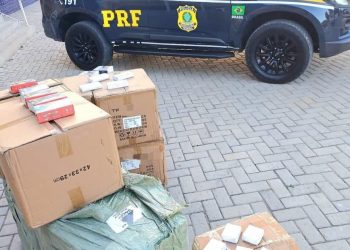 Carga avaliada em R$ 60 mil é apreendida BR 423, em Garanhuns