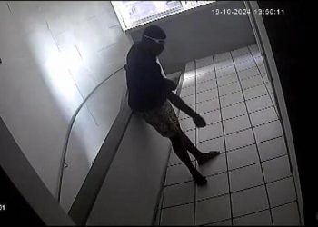 Homem agride e arremessa gata do 8º andar de prédio