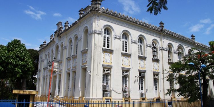 Projeto de lei que dá acesso gratuito a remédios à base de maconha é aprovado em primeira votação na Câmara do Recife