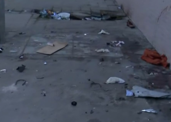 Mulher tem perna amputada após ser atropelada em uma parada de ônibus em Jaboatão dos Guararapes