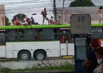 Raquel veta projeto que previa proibição de surfe em ônibus
