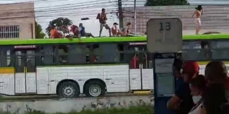 Raquel veta projeto que previa proibição de surfe em ônibus