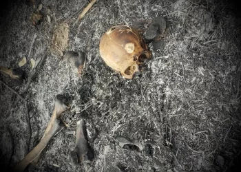 Ossada humana é encontrada em área rural de Garanhuns