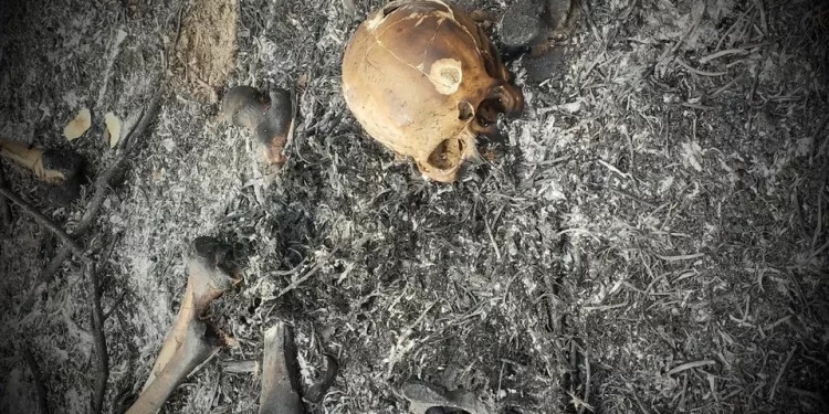 Ossada humana é encontrada em área rural de Garanhuns