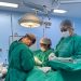 Governo de Pernambuco inicia mutirão do Cuida PE para realização de mil procedimentos cirúrgicos