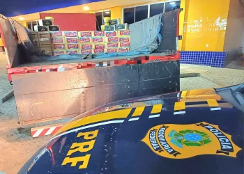 Mais de 4 toneladas de queijo são apreendidas pela PRF no Agreste