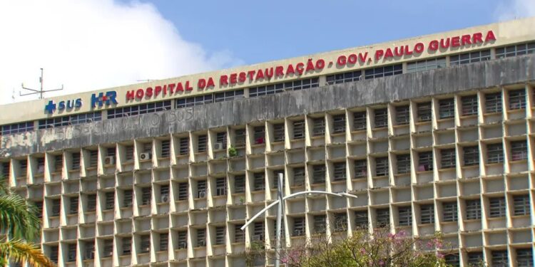 Ataque de pitbulls deixa criança de 3 anos em estado grave; tutor é preso