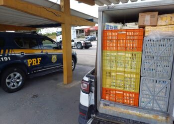 Carga de queijo transportada sem refrigeração é apreendida na BR-232
