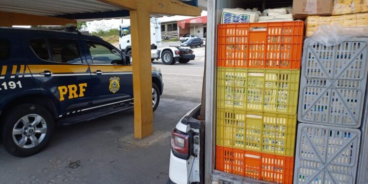 Carga de queijo transportada sem refrigeração é apreendida na BR-232