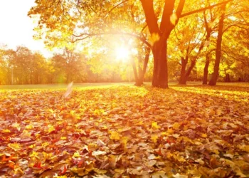 Outono começa com previsão de temperaturas acima de média