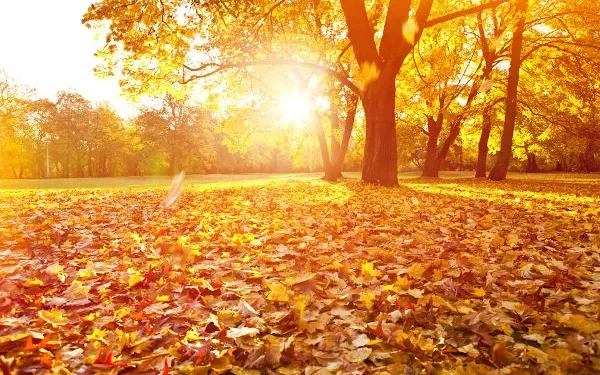 Outono começa com previsão de temperaturas acima de média