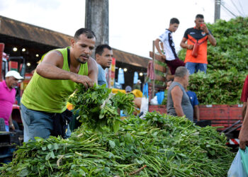 195 toneladas de Bredo foram comercializadas nesta quinta-feira (17), diz Ceasa-PE