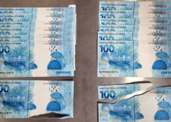 Mulher é presa com cédulas falsas de R$ 100 no Recife