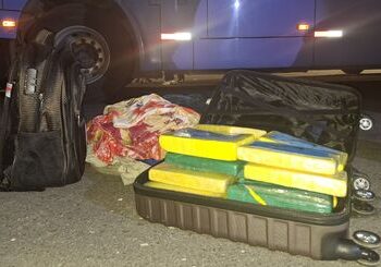Cerca de 20 quilos de cocaína são apreendidos em Petrolina; droga estava em ônibus que ia para Natal