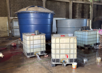 Operação apreende 500 litros de bebidas falsificadas em fábrica no Grande Recife