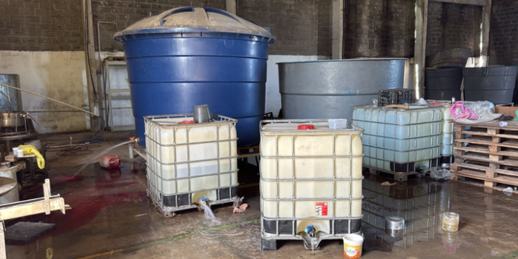 Operação apreende 500 litros de bebidas falsificadas em fábrica no Grande Recife