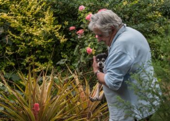 Morre Pepe Mujica, ex-presidente do Uruguai, aos 89 anos