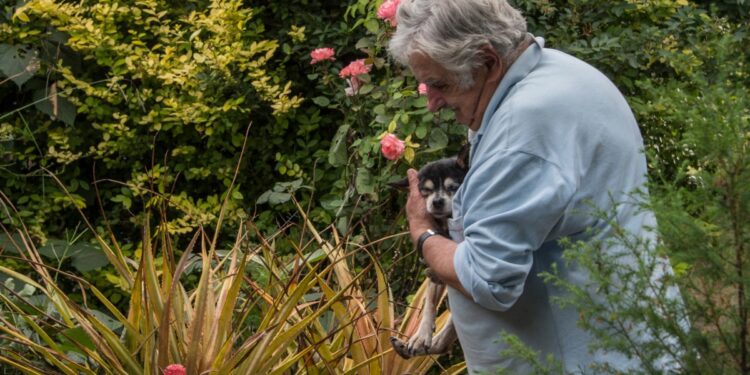 Morre Pepe Mujica, ex-presidente do Uruguai, aos 89 anos