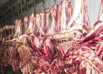 Frigoríficos brasileiros já estão parando de produzir carne bovina