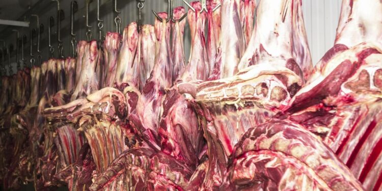 Frigoríficos brasileiros já estão parando de produzir carne bovina