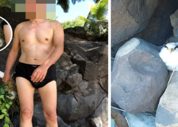 Turista chinês é multado em 10 mil por capturar ave ameaçada de extinção em Fernando de Noronha