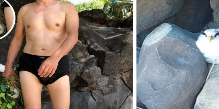 Turista chinês é multado em 10 mil por capturar ave ameaçada de extinção em Fernando de Noronha