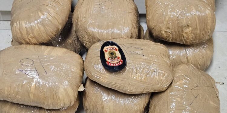 Idoso vindo do Sertão é preso ao desembarcar no TIP com 21 quilos de maconha, no Recife