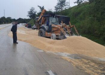 Caminhão que transportava cevada colide com mureta em Igarassu