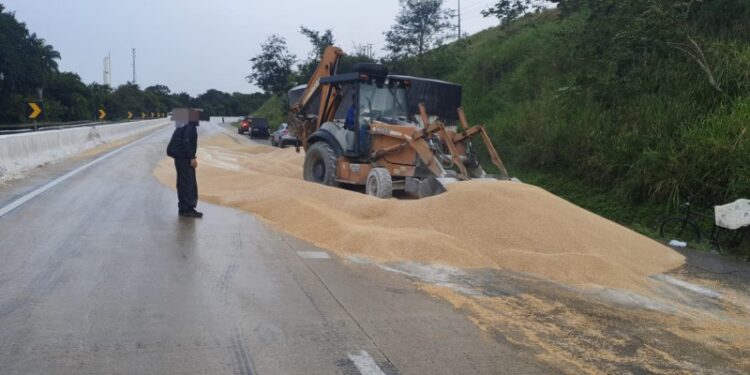 Caminhão que transportava cevada colide com mureta em Igarassu