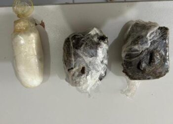 Drogas são encontradas em extrato de tomate e galinha congelada em navio para Fernando de Noronha