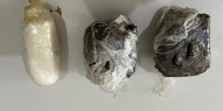 Drogas são encontradas em extrato de tomate e galinha congelada em navio para Fernando de Noronha