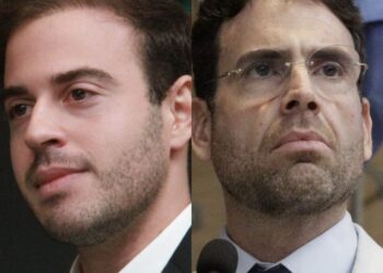 Gilson Machado Filho e Eduardo Moura promovem audiência pública sobre proteção animal no Recife